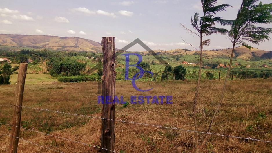 kaberebere_kiddawalime_plots