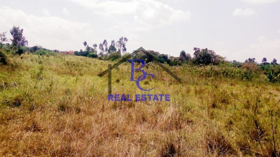 kashenyi_nyamitanga_acre