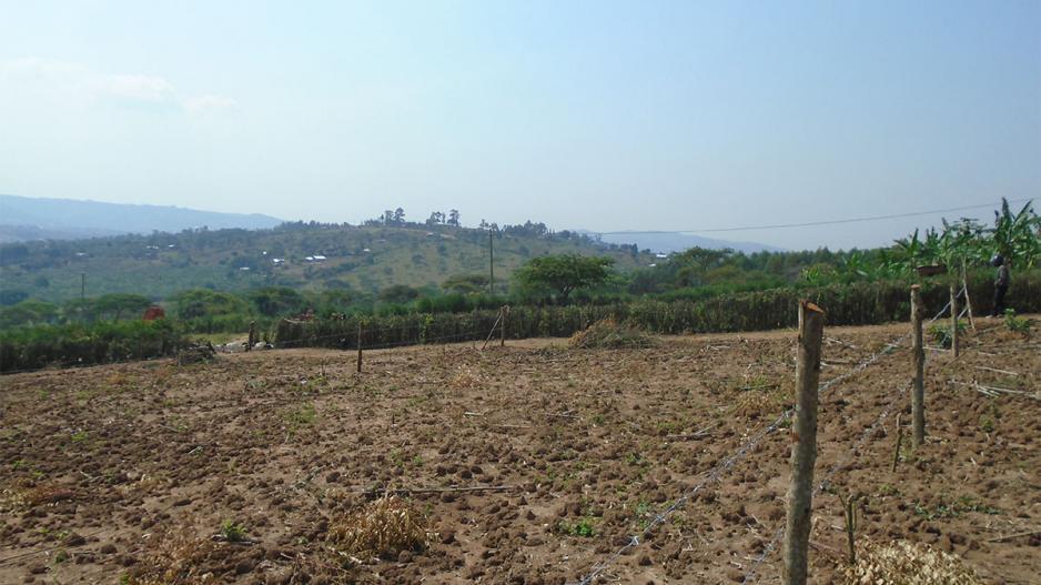 rwobuyenje_residential_plot