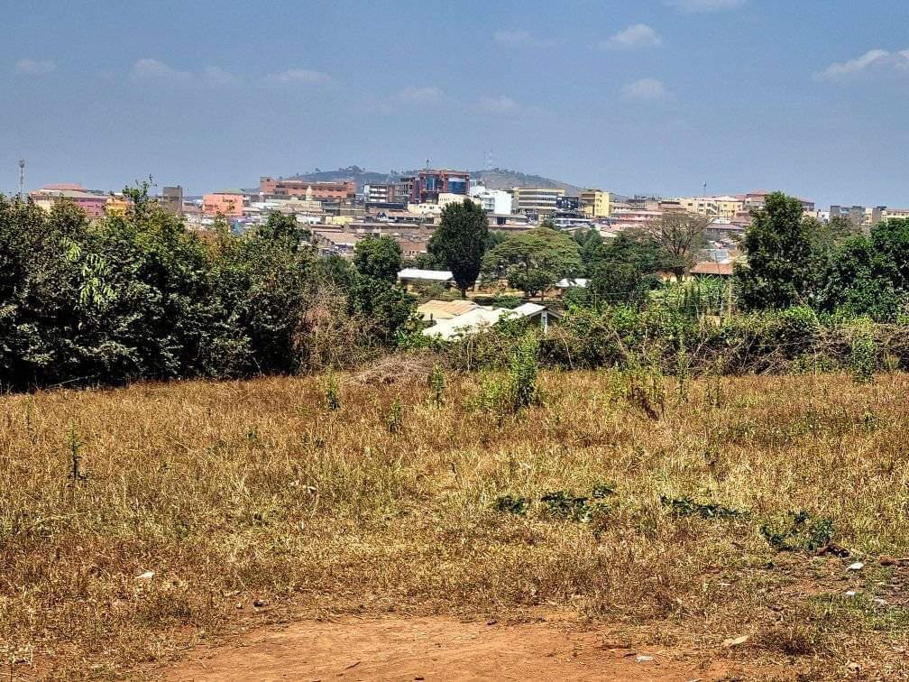 Half acre in andrews