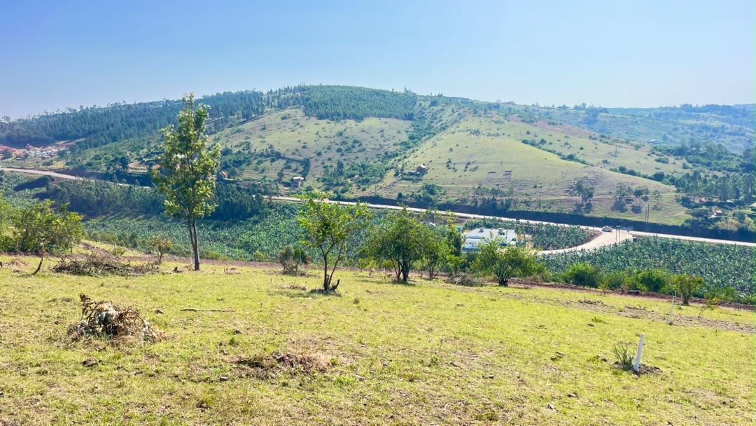 Kabingo estate