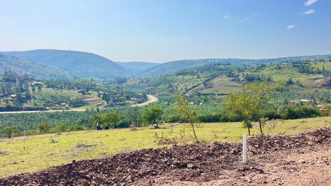 Kabingo estate